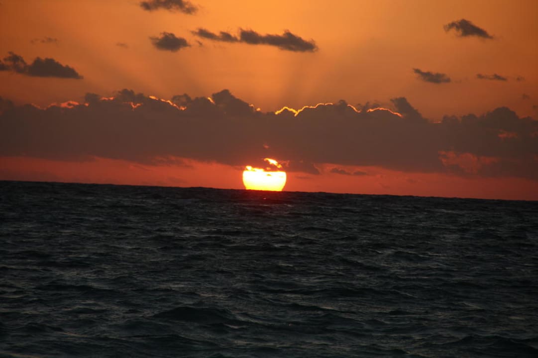 Sonnenuntergang Occidental Punta Cana