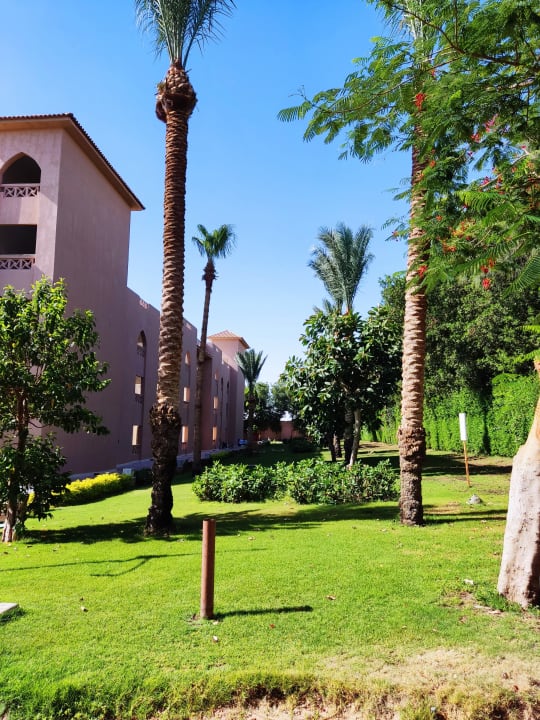 Gartenanlage Pickalbatros Aqua Park Resort - Hurghada
