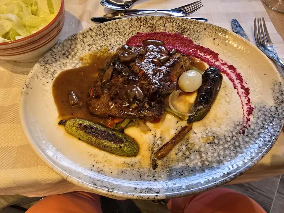 Gastro Seashell Vega