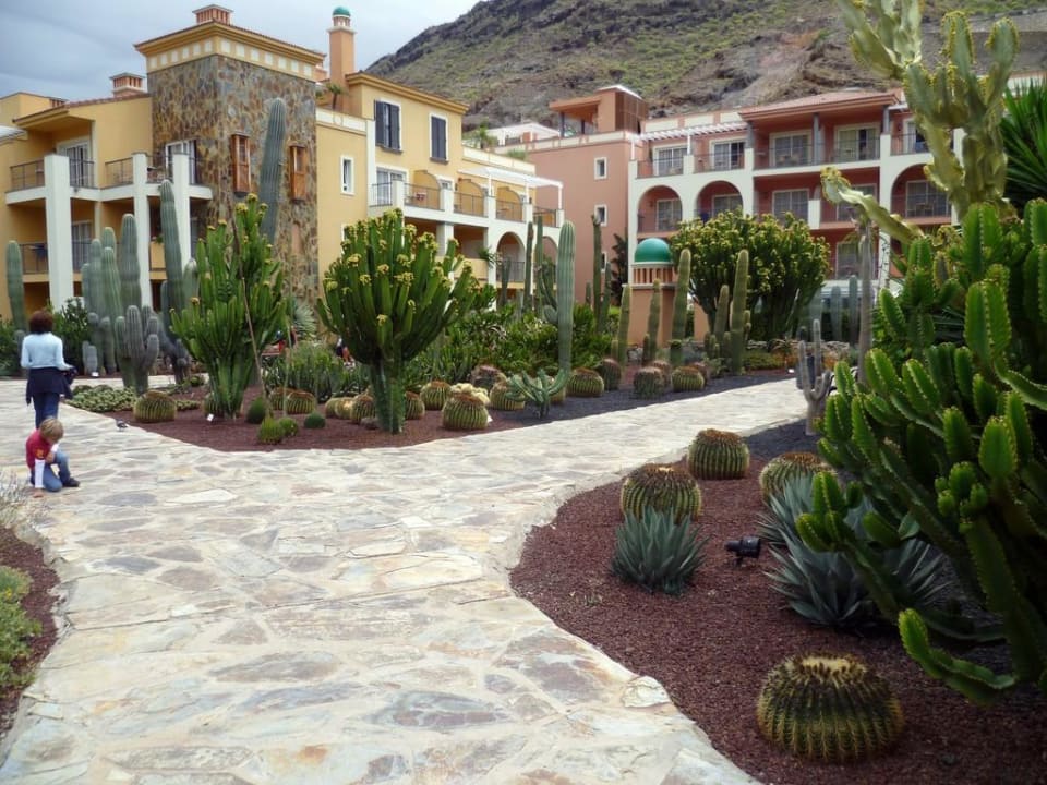 Kakteengarten im Hotel Hotel Cordial Mogán Playa