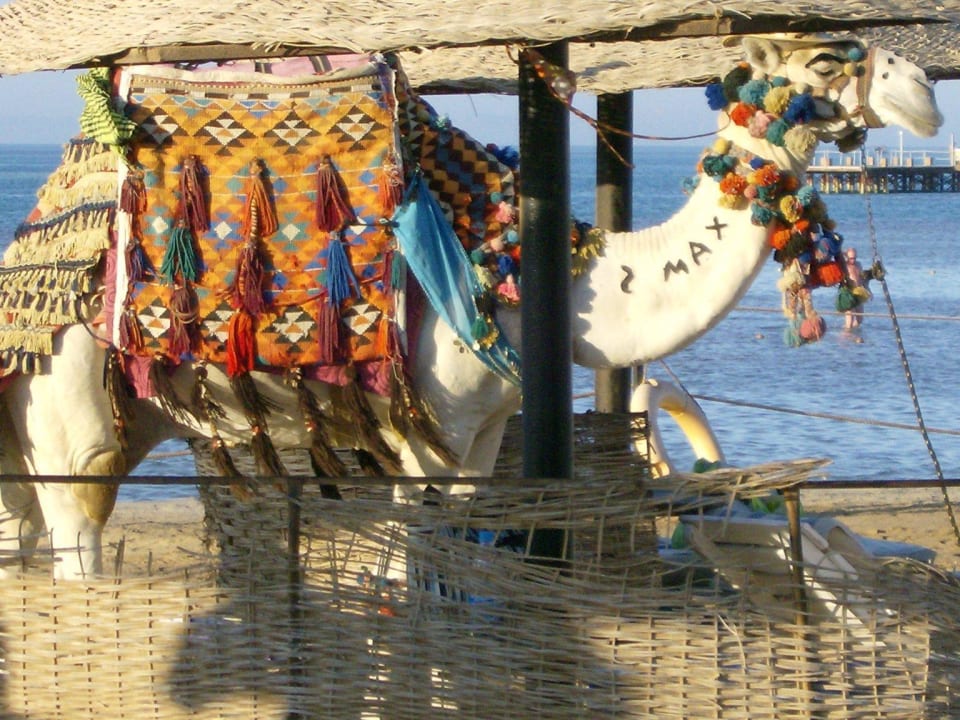 Schönes Hotel. Hier kann man super Urlaub machen . Riviera Aqua Park Resort