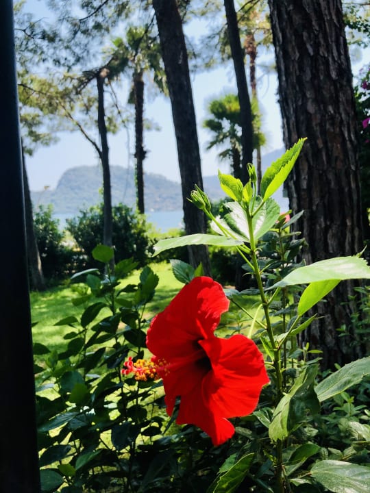 Gartenanlage Grand Yazici Club Marmaris Palace