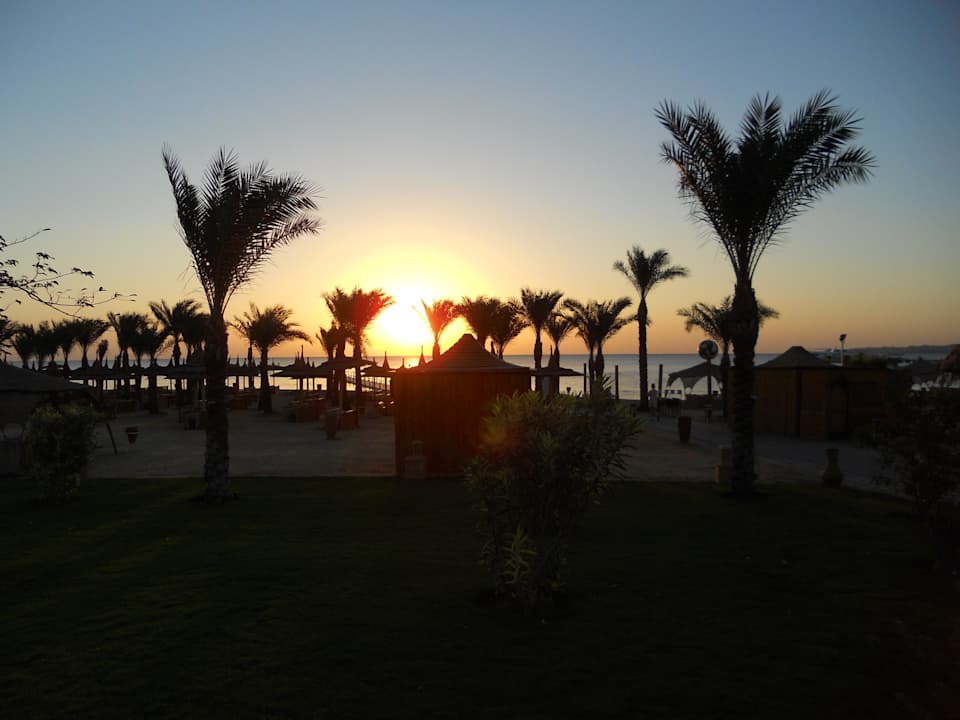 Sonnenaufgang Pickalbatros Palace Resort