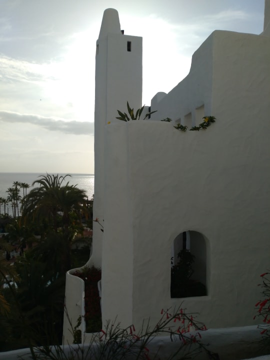 Zimmer Dreams Jardín Tropical