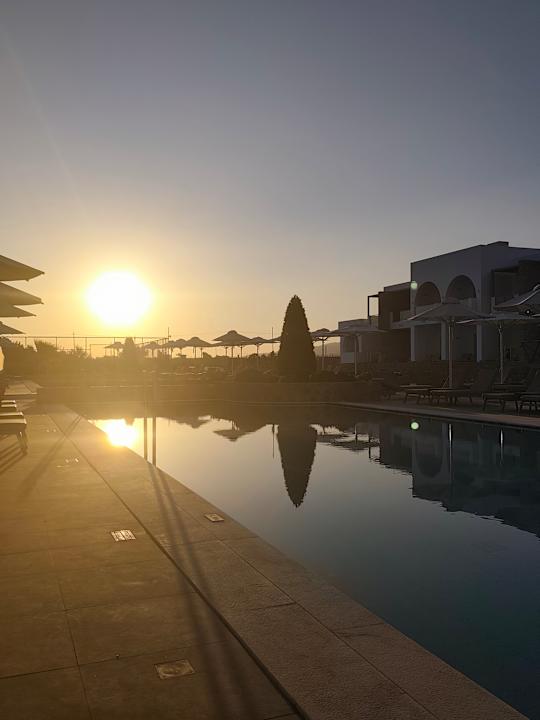 Pool Palladium Hotel