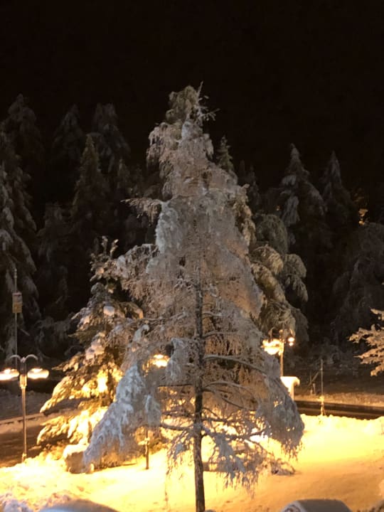 Ausblick Verwöhnhotel Wildspitze