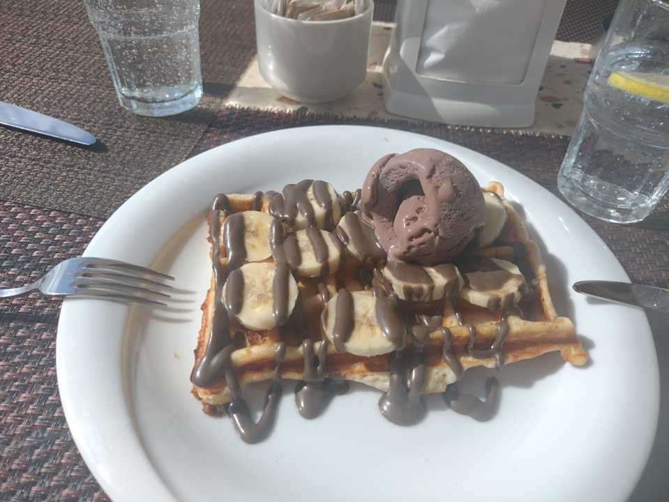 Strand Seashell Vega