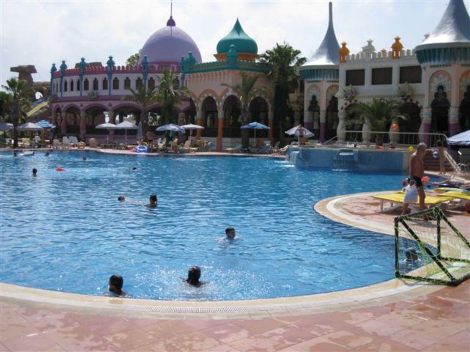 Basen kamely word Kamelya Aishen Club