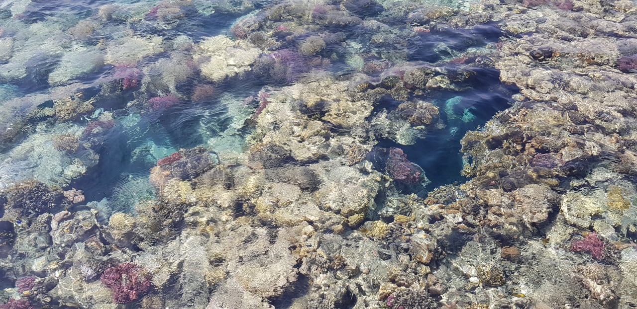 Sonstiges Steigenberger Coraya Beach - Adults only