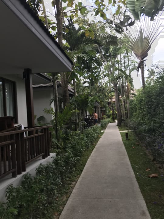 Gartenanlage NH Collection Samui Peace Resort