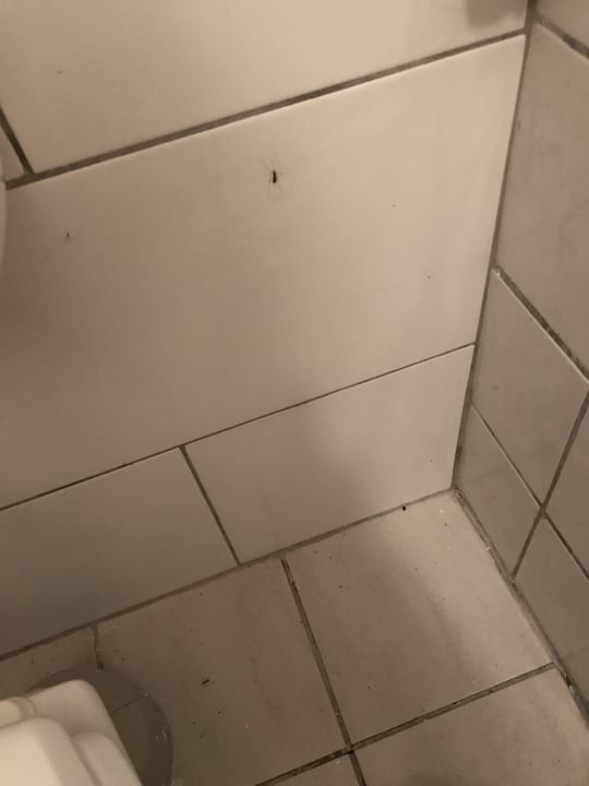 Zimmer Pension Am Deich