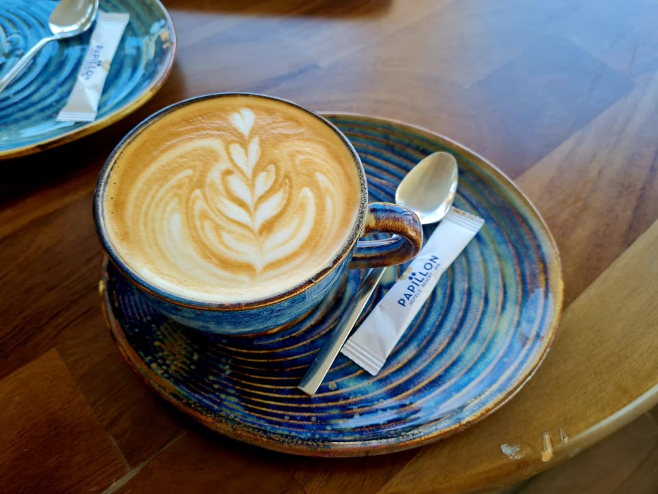 Gastro Papillon Belvil