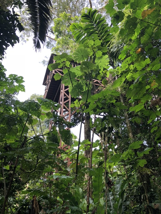 Zimmer Maquenque Eco-Lodge