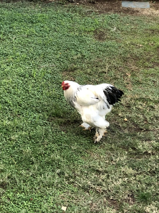 Sonstiges Labranda Alantur Resort