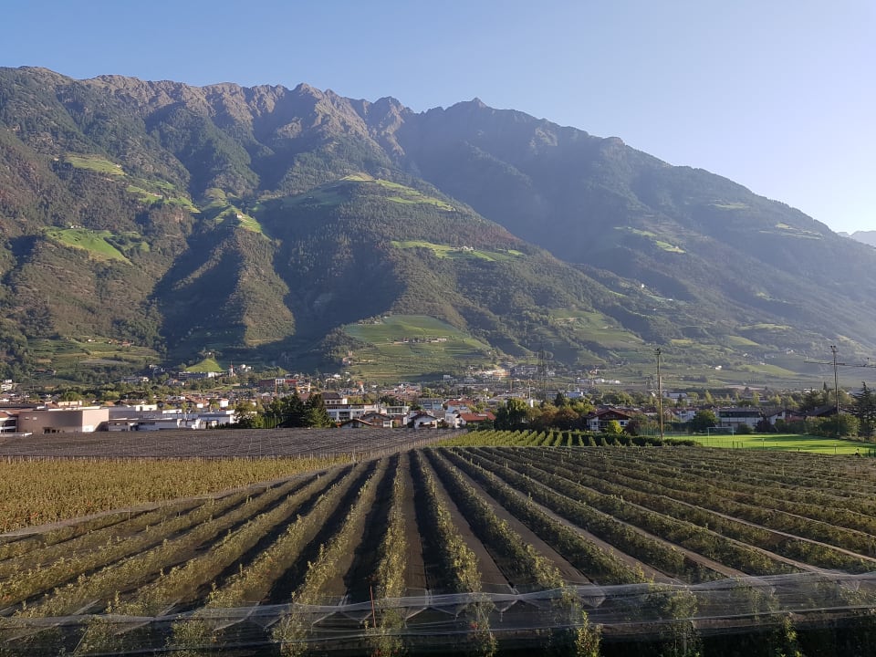 Ausblick Pension Lärchenhof