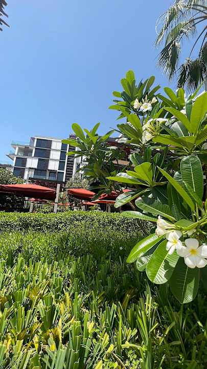 Gartenanlage Banyan Tree Dubai