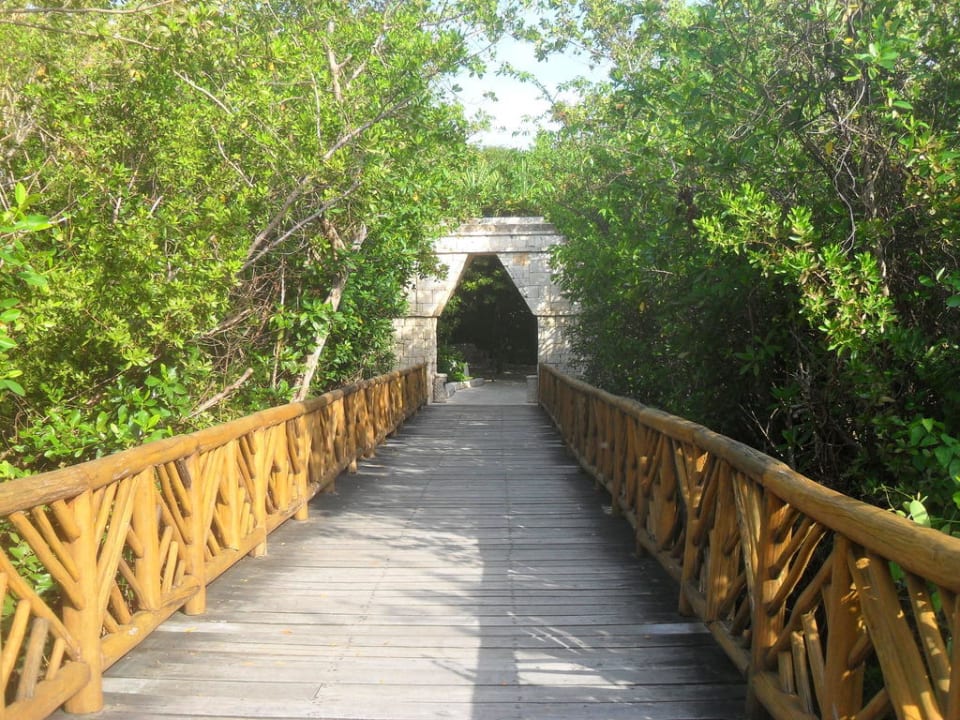Weg vom Strand Richtung Hotelzimmer Catalonia Royal Tulum Beach & Spa Resort - Adults only