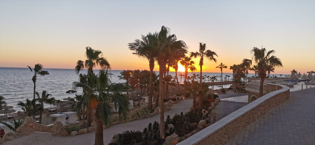 Ausblick Pickalbatros Citadel Resort