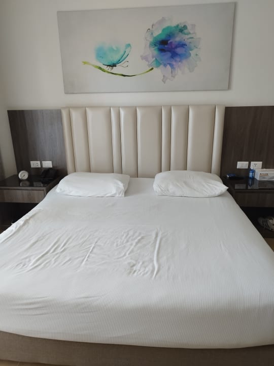 Zimmer Pickalbatros Palace Resort