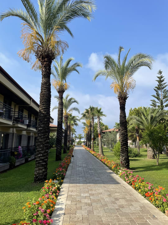 Gartenanlage TUI BLUE Palm Garden