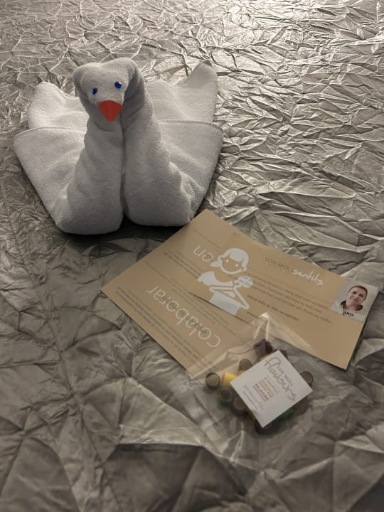 Zimmer Son Moll Sentits Hotel & Spa