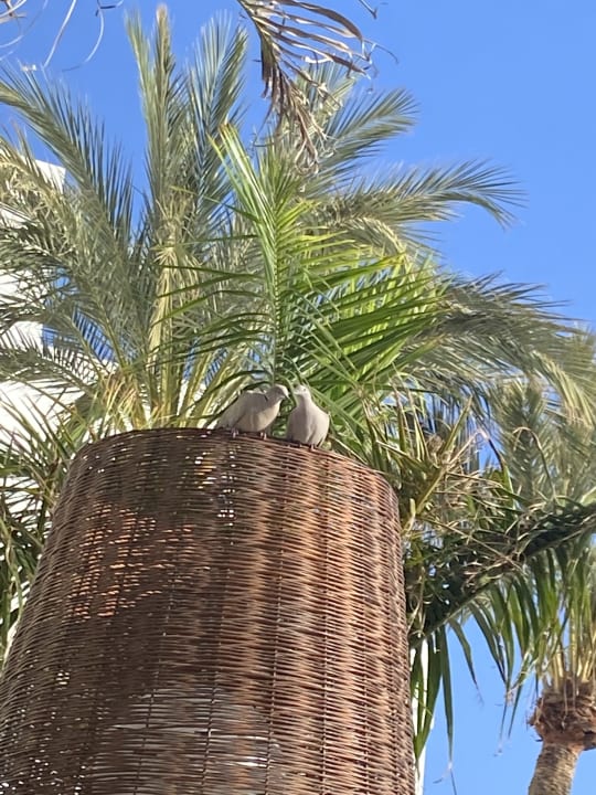 Ausblick Hotel Riu Palace Jandia