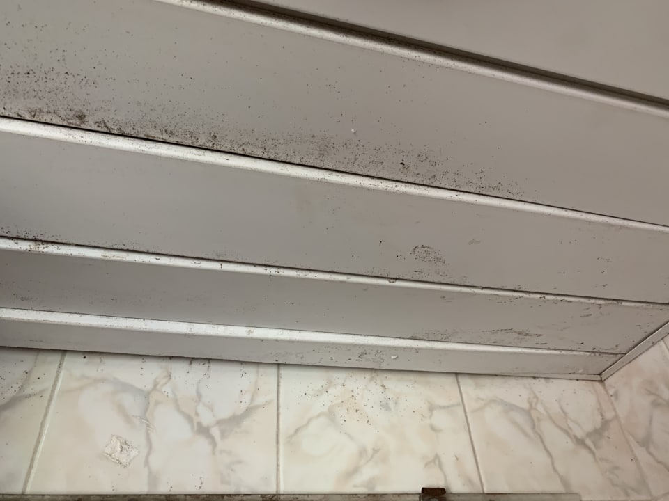 Zimmer Hotel Los Delfines Horizontes