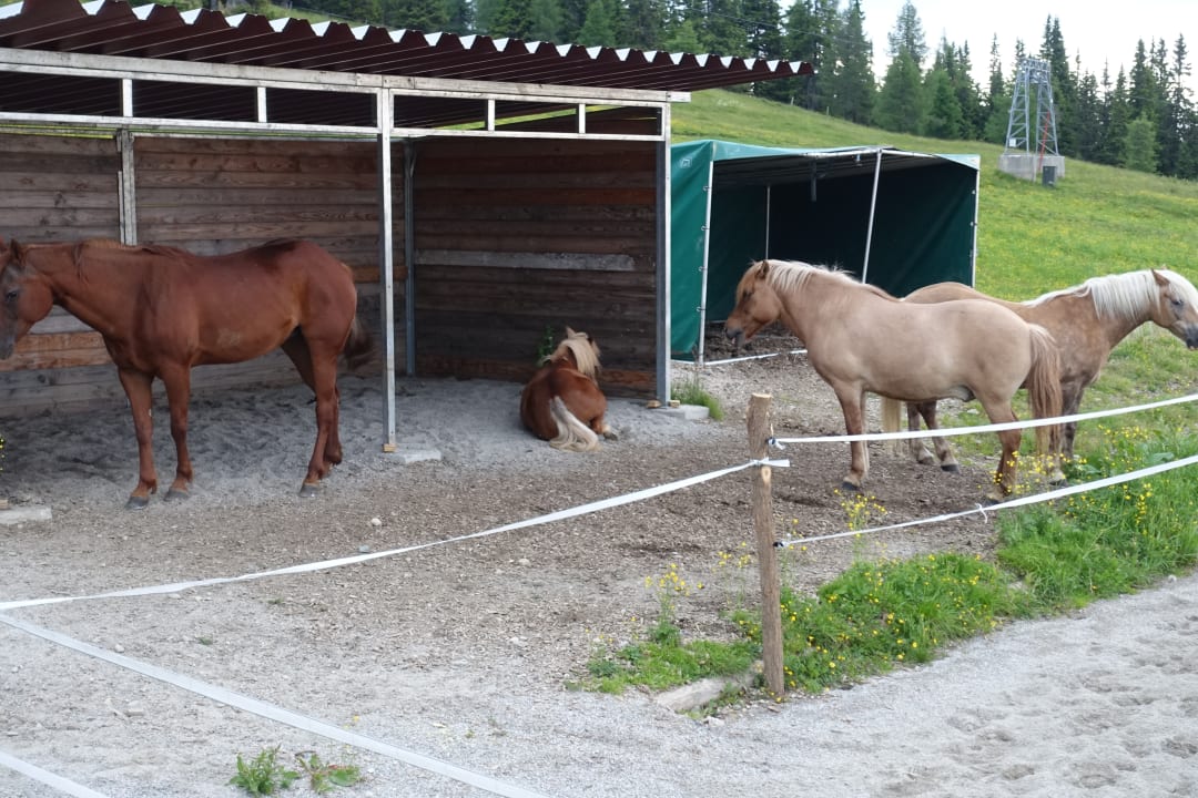 Sport & Freizeit Mountain Resort Feuerberg