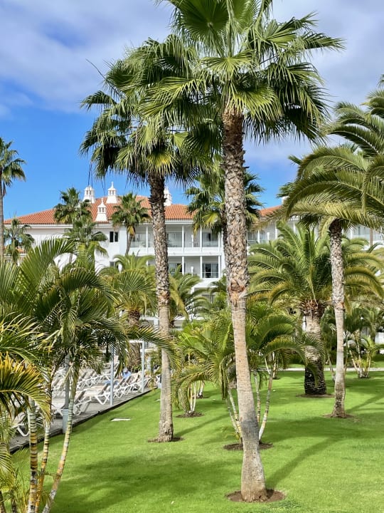 Gartenanlage Hotel Riu Arecas - Adults only