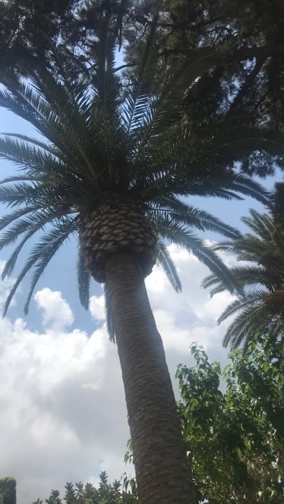 Pool Aldiana Club Rocca Nettuno Calabria