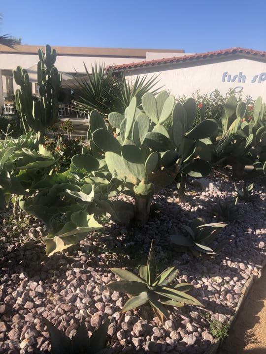 Gartenanlage Anissa Beach & Village