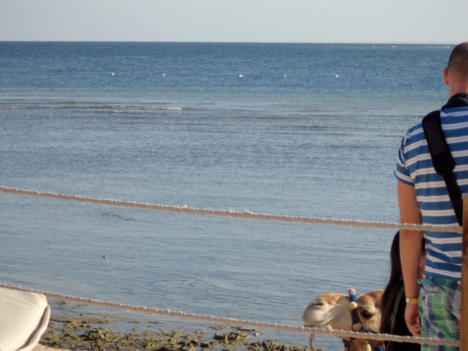 Oscar Makadi Spa - Adults only