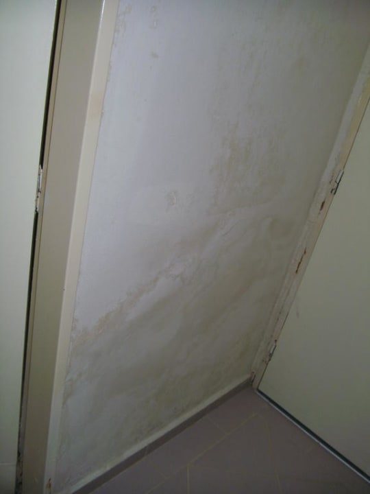 Schimmelwand Club Hotel Anjeliq