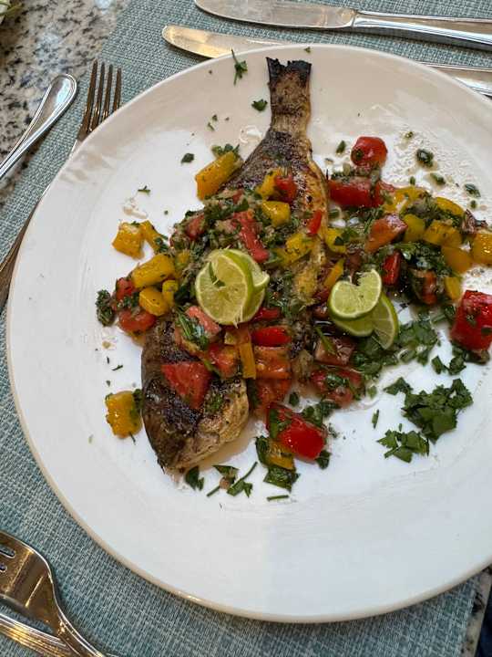 Gastro JAZ Elite Asteria