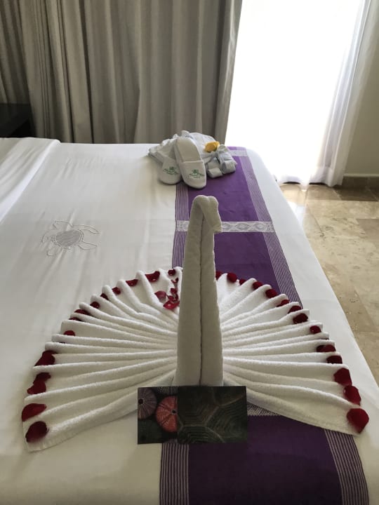 Zimmer Akumal Bay Beach & Wellness Resort