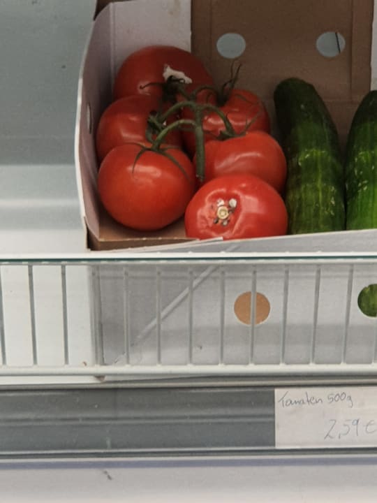 Sonstiges Regenbogen Ferienanlage Göhren
