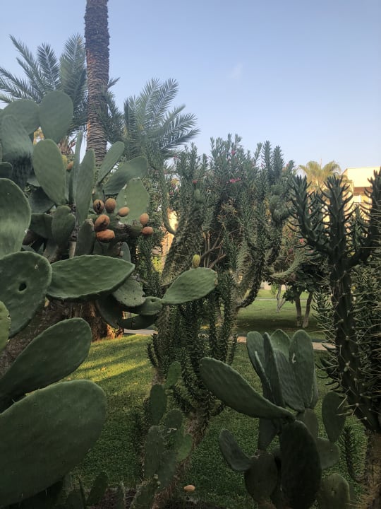 Gartenanlage Labranda Alantur Resort