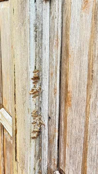 Zimmer Santhiya Koh Yao Yai Resort & Spa