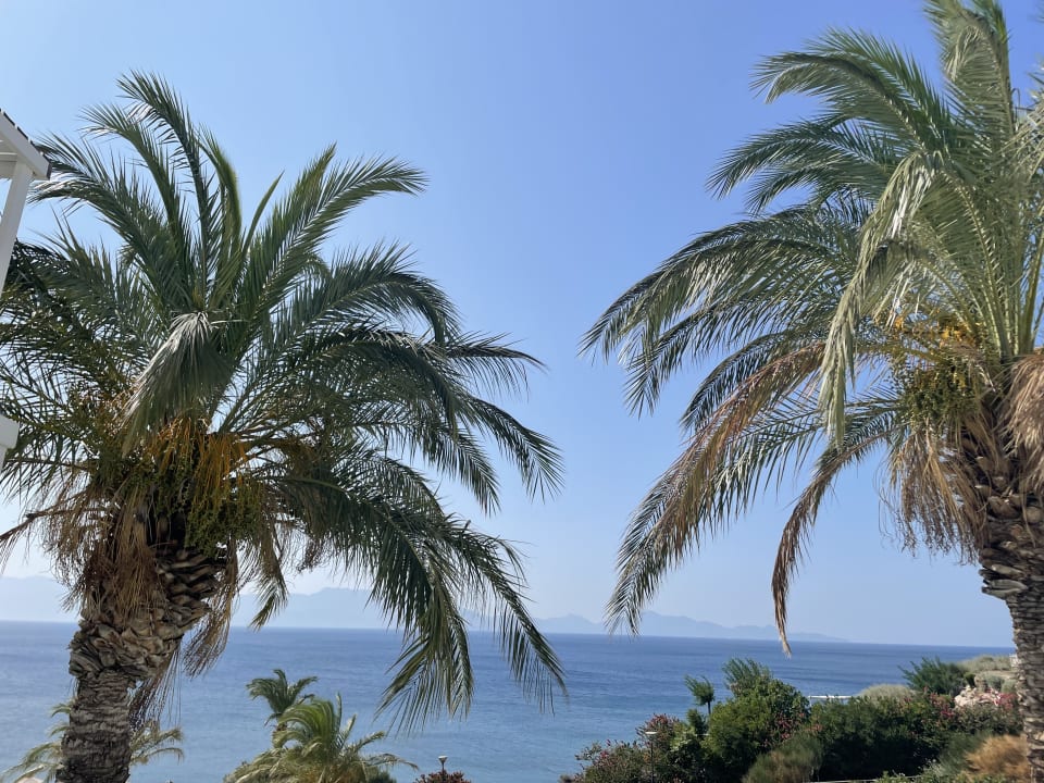 Gartenanlage Dimitra Beach Hotel & Suites