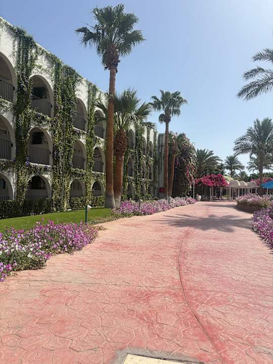 Gartenanlage Desert Rose