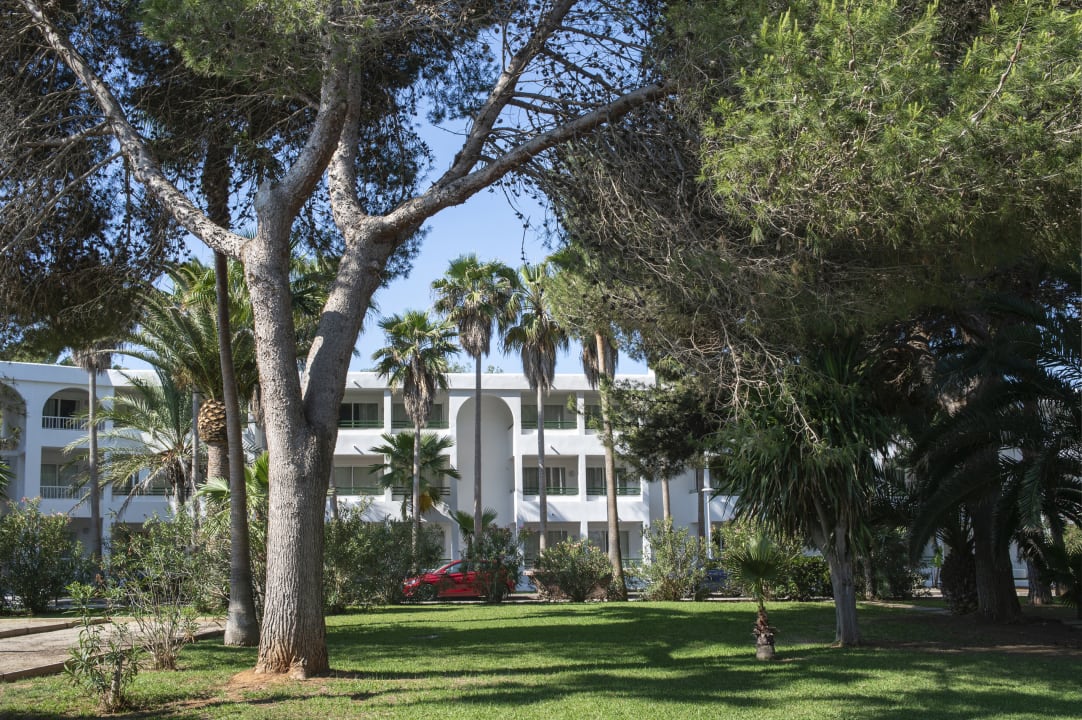 Außenansicht Mallorca Cecilia Apartamentos