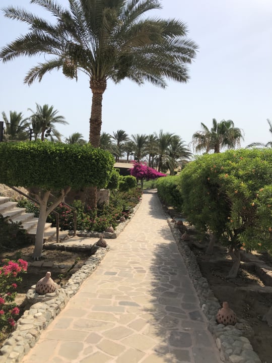 Gartenanlage Utopia Beach Club