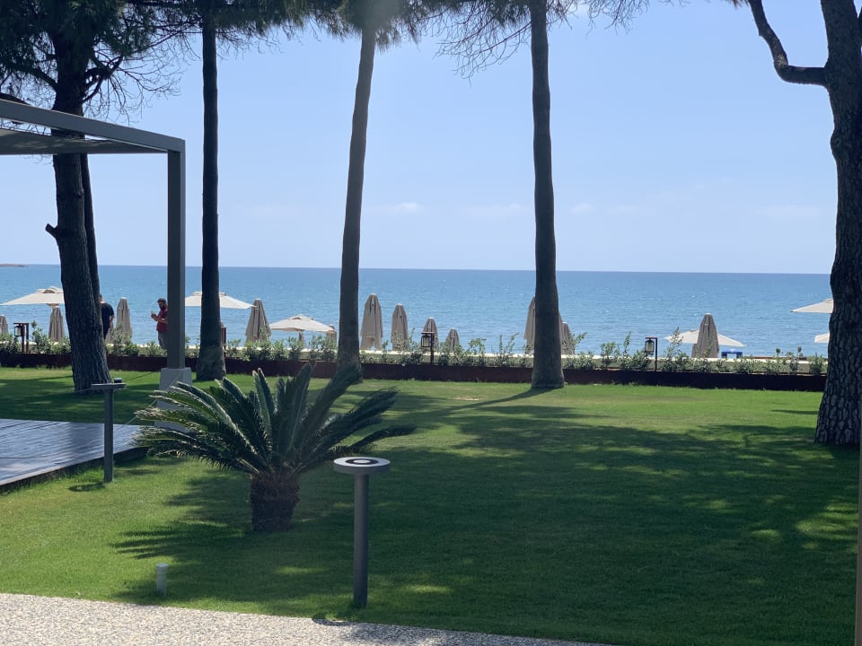 Gartenanlage Acanthus Cennet Barut Collection