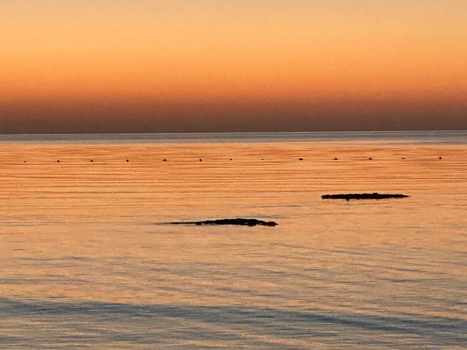 Strand Imperial Shams Abu Soma