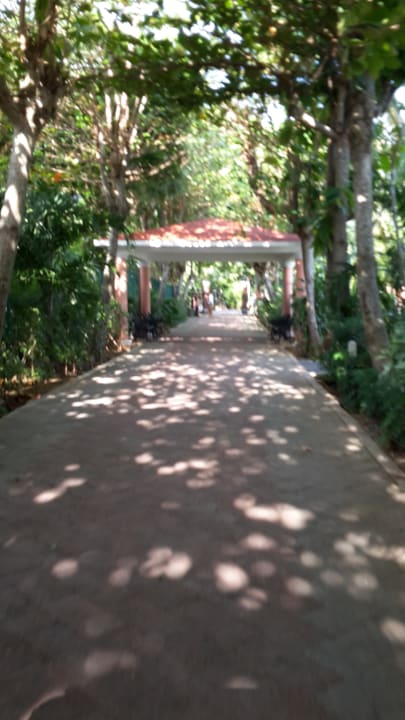 Gartenanlage Hotel Riu Tequila