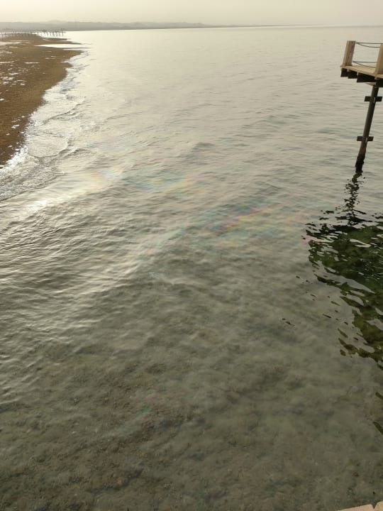 Strand Pickalbatros Sea World Resort - Marsa Alam