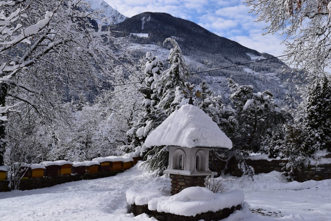 Gartenanlage Ferienwohnung Göritzer