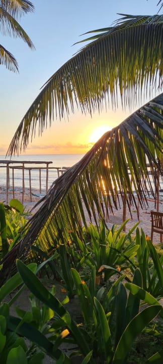 Strand Akumal Bay Beach & Wellness Resort