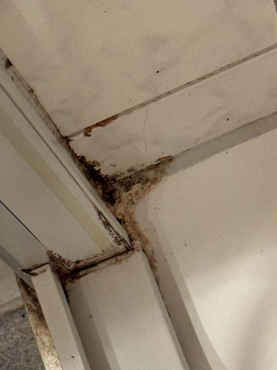 Sonstiges Bettkästchen Garni-Hotel