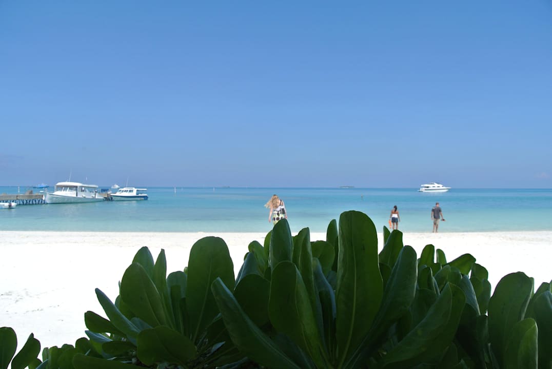 Eine Insel zum verlieben Meeru Maldives Resort Island